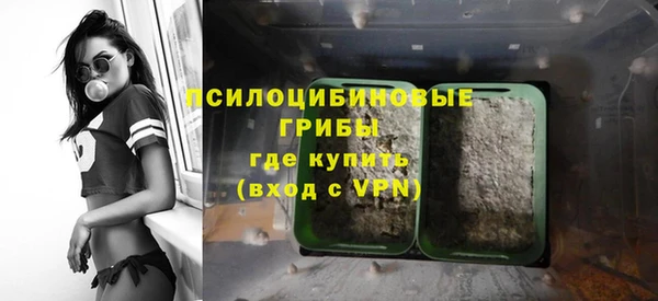 а пвп мука Алзамай