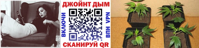 Бошки Шишки AK-47  Ужур 